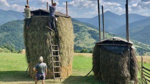 Tradičné poľnohospodárstvo vytvára potrebnú biodiverzitu